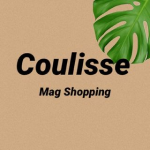 COULISSE